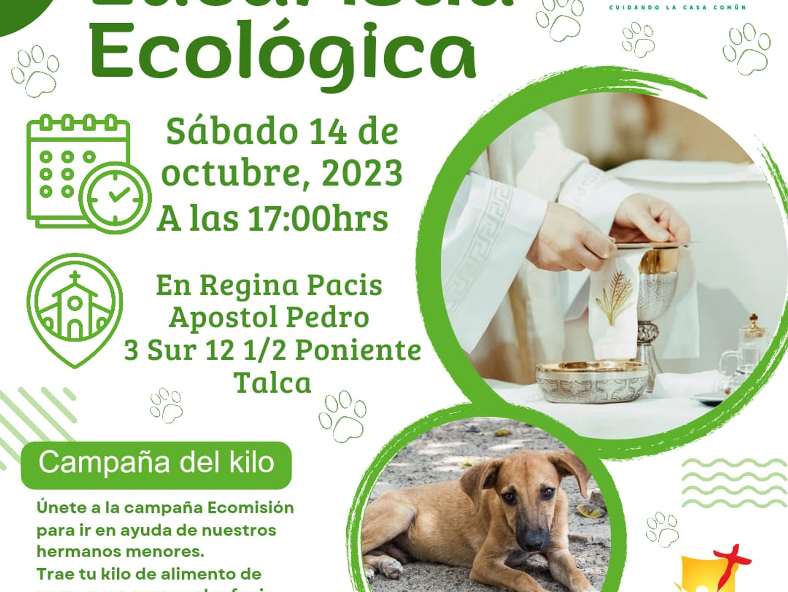 Se viene la Eucaristía Ecológica en Talca