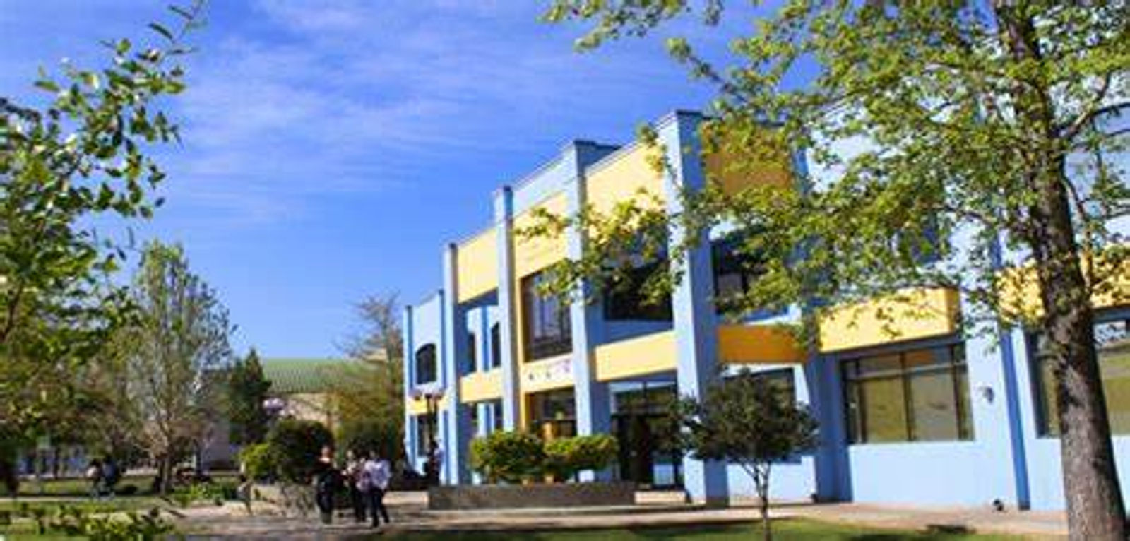 Universidad Catolica del Maule
